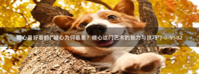 糖心volgo